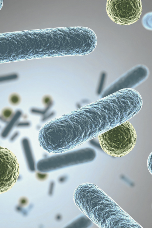 Naturens egen rengøring: Derfor gør probiotika en forskel!