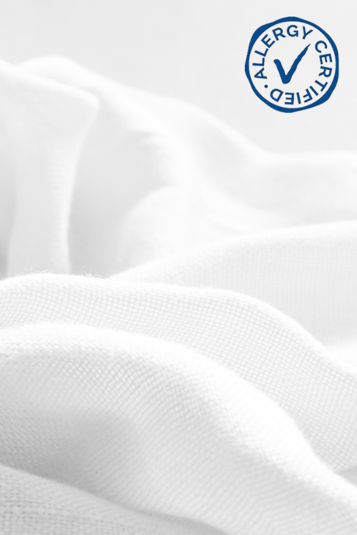 NYT: Allergy Certified