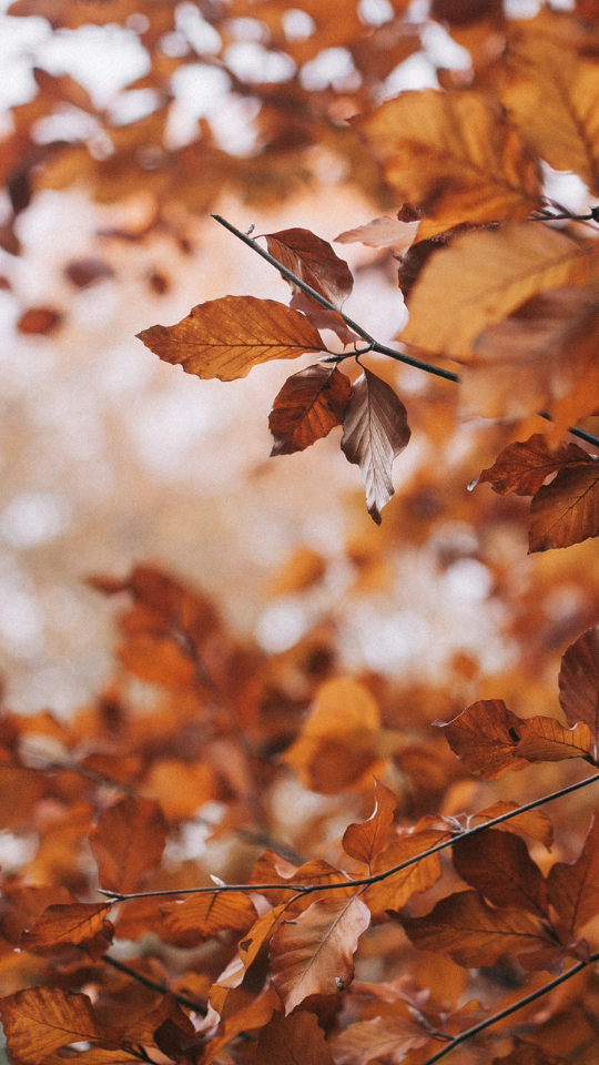 Gør din terrasse vinterklar