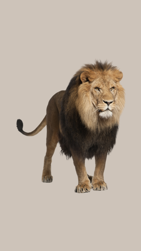 Måske du så os i TV?