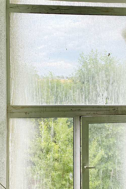 Forårsklar med skinnende rene vinduer